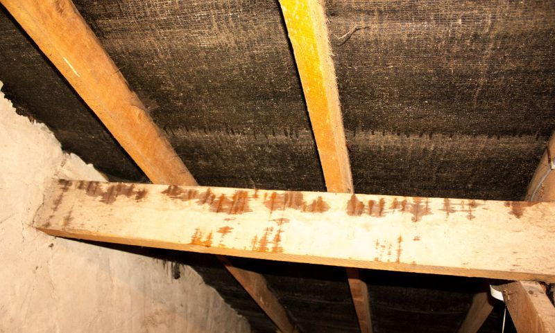 Building Damage Repair in Charleston, SC