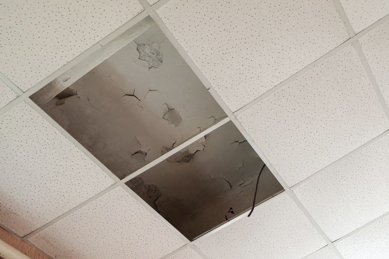 Leaking Ceiling Repair in Katy, TX